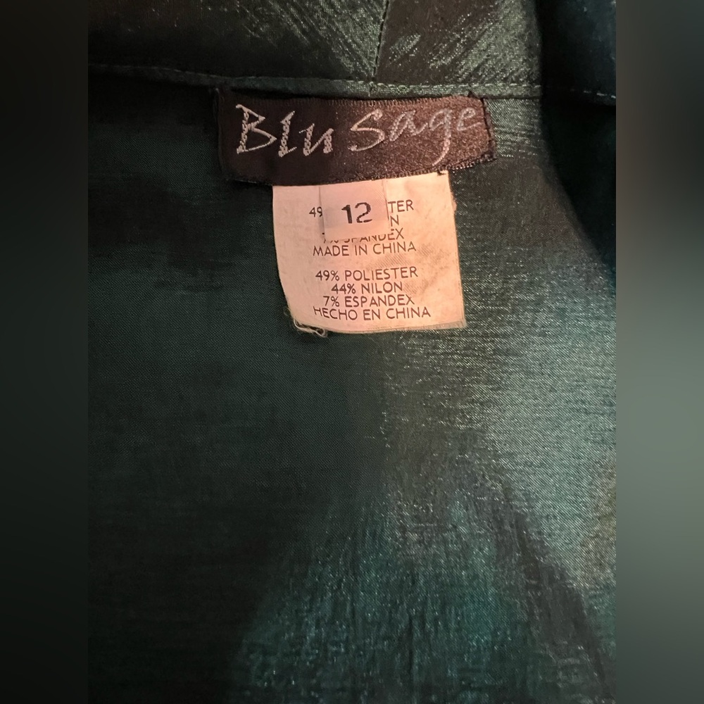 Blu Sage Formal Blouse Women’s Size 12 Green with Rhinestone Buttons - Picture 5 of 7